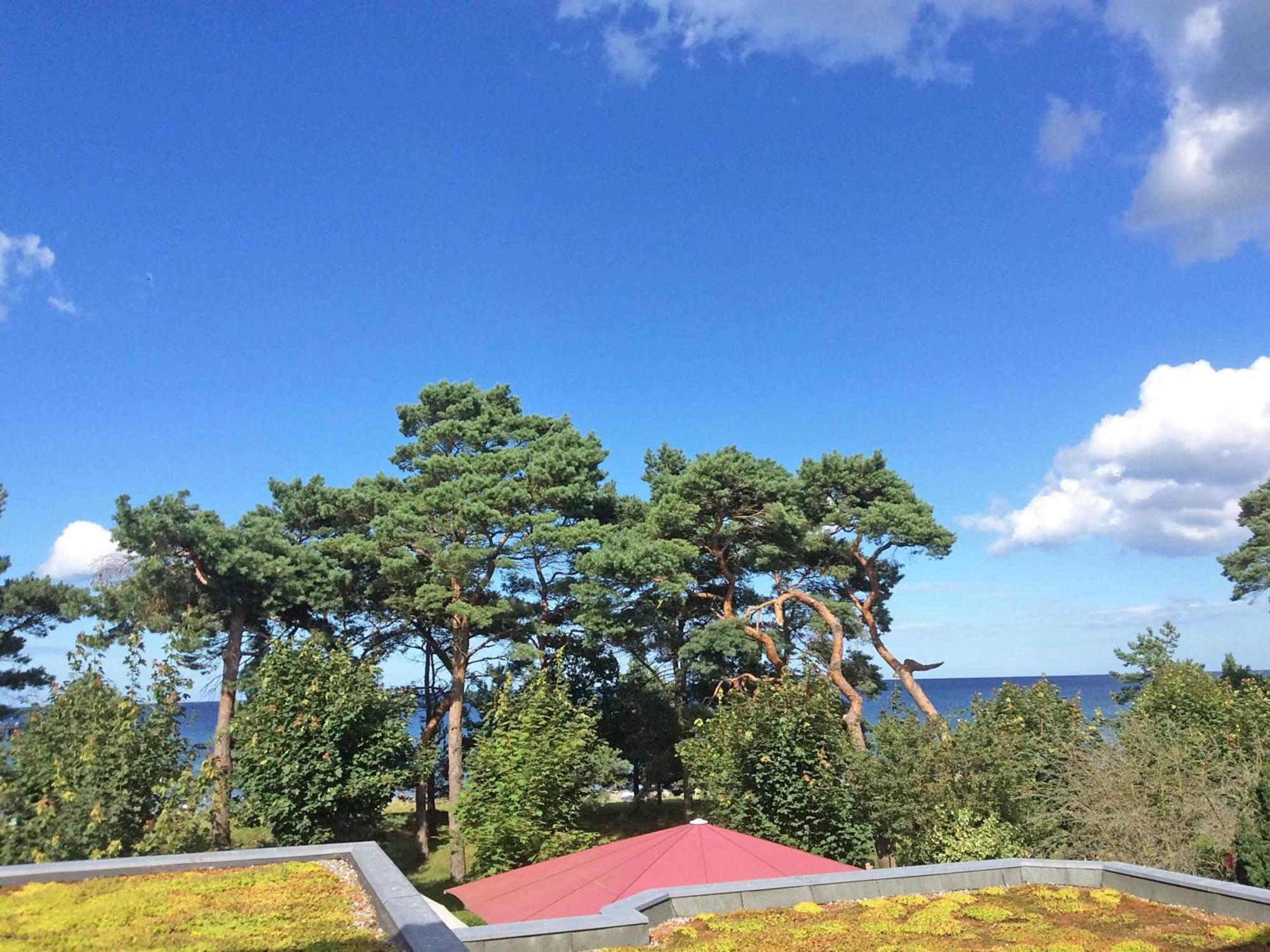 Villa Freia In Binz - Wg 11 Mit Meerblick Und Balkon المظهر الخارجي الصورة